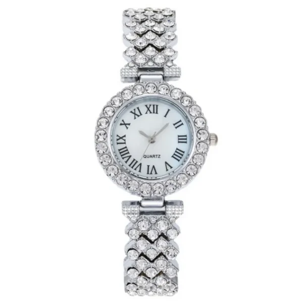 Clara Classic Steel Watch